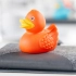 Squeaky duck classic