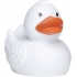 Squeaky duck classic