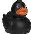 Squeaky duck classic