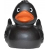 Squeaky duck classic