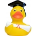 Squeaky duck graduate