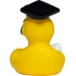 Squeaky duck graduate