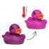 Squeaky duck colour changing