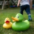Squeaky duck giant