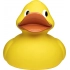 Squeaky duck giant