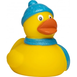 Утка-пищалка зимняя