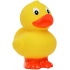 Squeaky duck standing