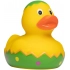 Squeaky duck easter duck