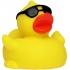 Squeaky duck with sunglases