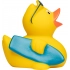 Squeaky duck surfer