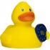 Squeaky duck euro