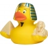 Squeaky duck cityduck®  egypt