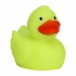 Squeaky duck luminescent