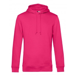 Inspire с капюшоном