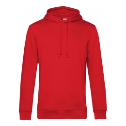 Inspire с капюшоном