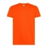 T-shirt. Gemini