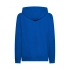 Sweatshirts. Berry