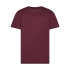 T-shirt. Evolution Kids