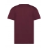 T-shirt. Evolution Kids