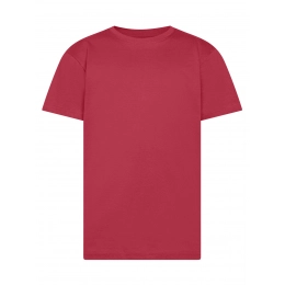 T-shirt. Evolution Kids