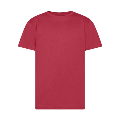 
                                                T-shirt. Evolution Kids
                                                