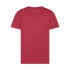 T-shirt. Evolution Kids