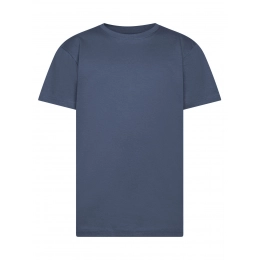 T-shirt. Evolution Kids