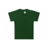 T-shirt. Evolution Kids