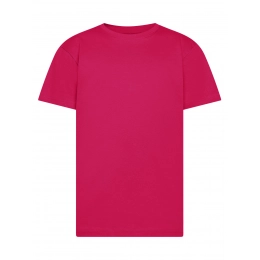 T-shirt. Evolution Kids