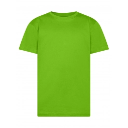 T-shirt. Evolution Kids