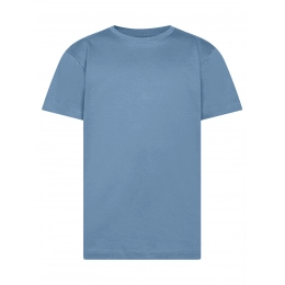 T-shirt. Evolution Kids