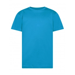 T-shirt. Evolution Kids