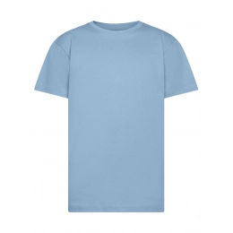 T-shirt. Evolution Kids