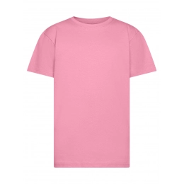 T-shirt. Evolution Kids