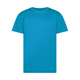 T-shirt. Evolution Kids