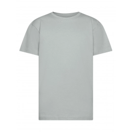 T-shirt. Evolution Kids