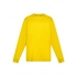 T-shirt. Evolution Kids LS
