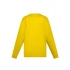 T-shirt. Evolution Kids LS