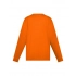T-shirt. Evolution Kids LS
