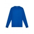 T-shirt. Evolution Kids LS