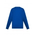 T-shirt. Evolution Kids LS