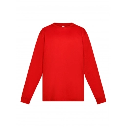 Футболка. Evolution Kids LS Эволюция для детей LS