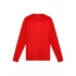 Футболка. Evolution Kids LS Эволюция для детей LS