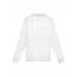 T-shirt. Evolution Kids LS