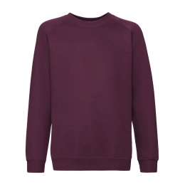 Kids Premium Raglan Sweat