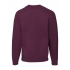Classic Raglan Sweat