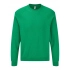 Classic Raglan Sweat