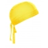 Bandana Hat