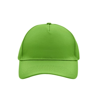 
                                                5 Panel Cap
                                                