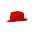 Promotion Hat